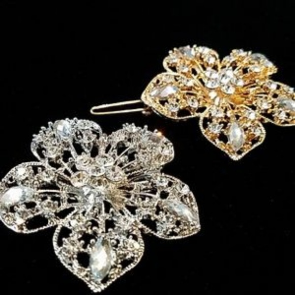 Accessories - Gold & Silver Hair Barrettes